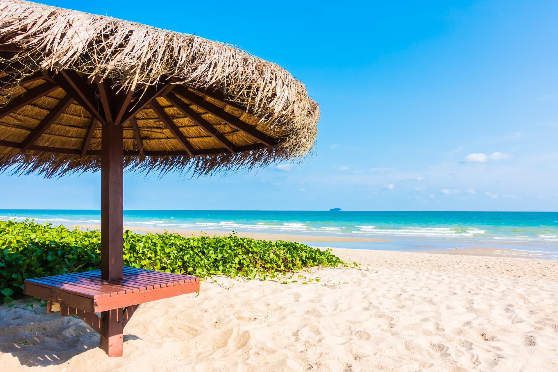 Zanzibar by day — Home to Zanzibar Tours & Travel