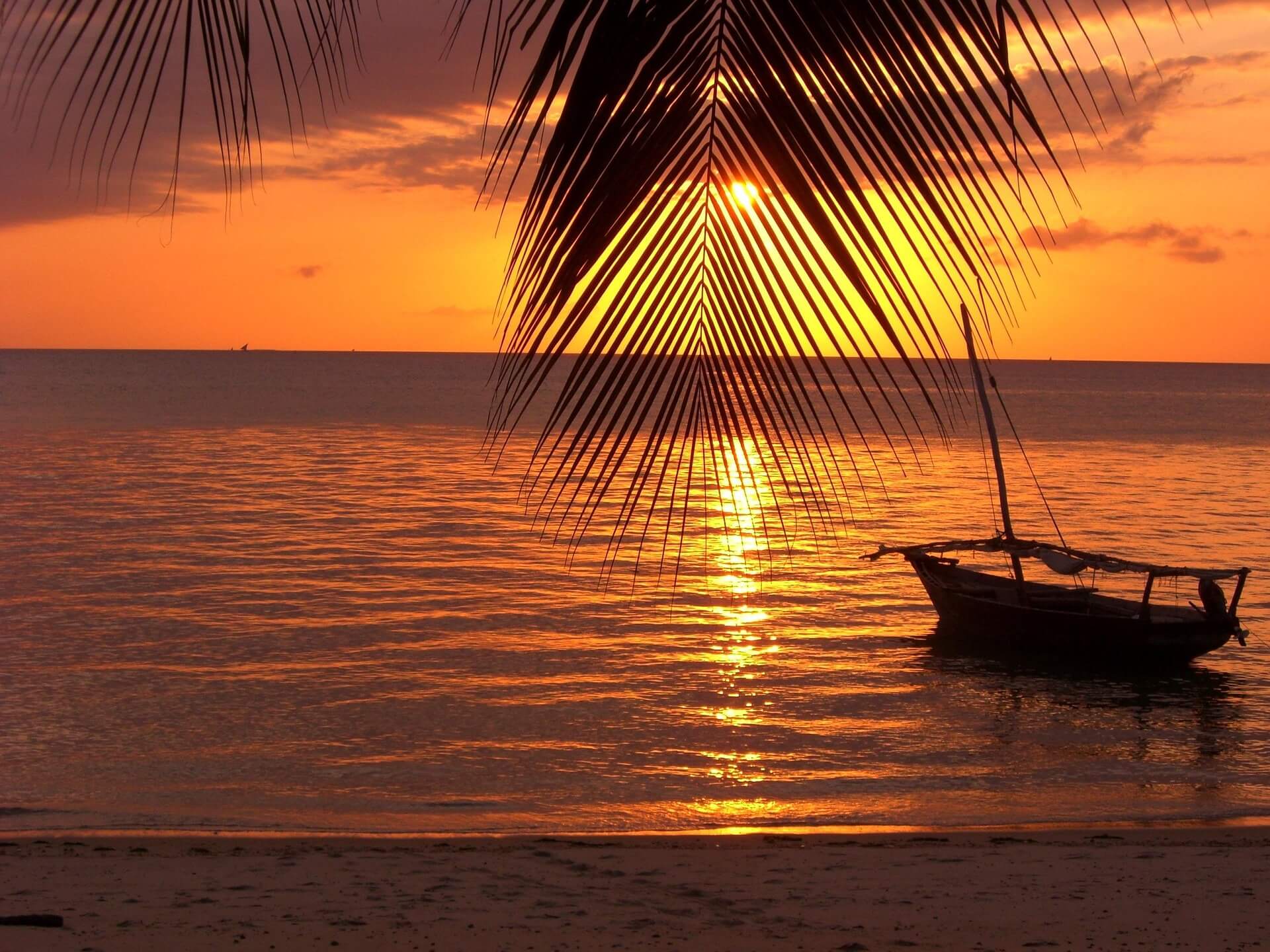 Zanzibar by night — Home to Zanzibar Tours & Travel